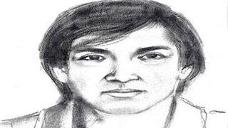 İşte O sapığın robot resmi