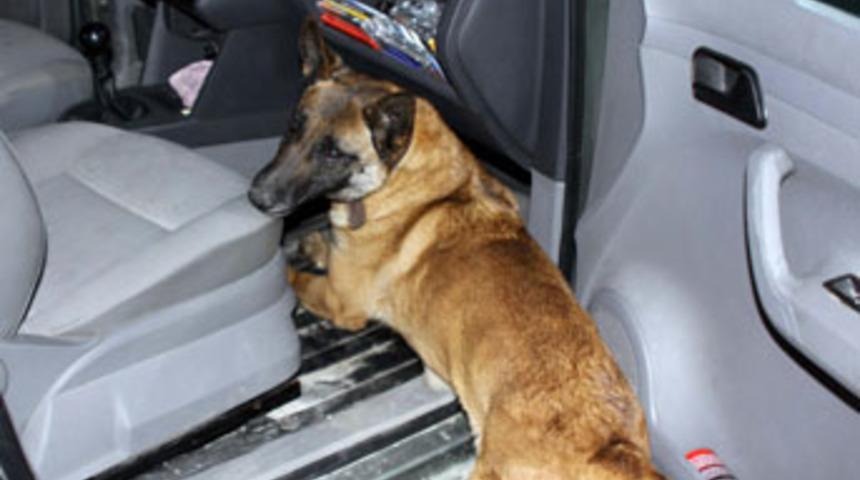 Uyuşturucu, narkotik k&ouml;peğine takıldı