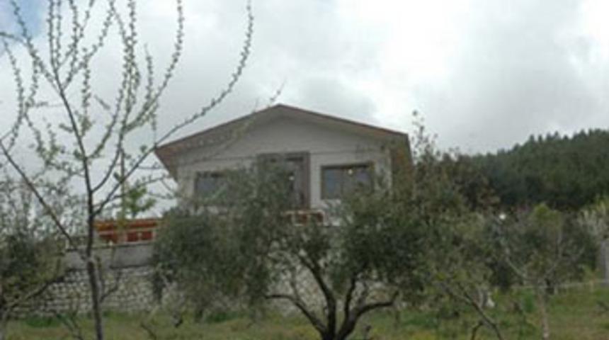 Kardeşleri intihar etti, onlar...