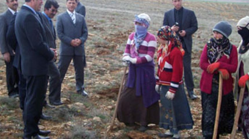 Vali, kadınlarla birlikte fidan dikti
