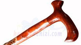 Babasını bastonla öldürdü