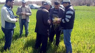 Beyşehir Göl Havzası'nda bereket