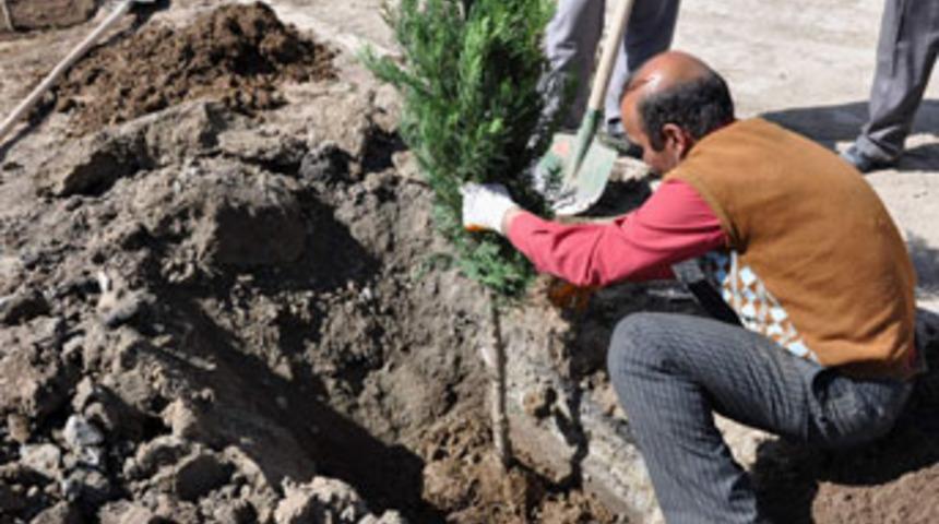 Bostani&ccedil;i beldesi yeşilleniyor