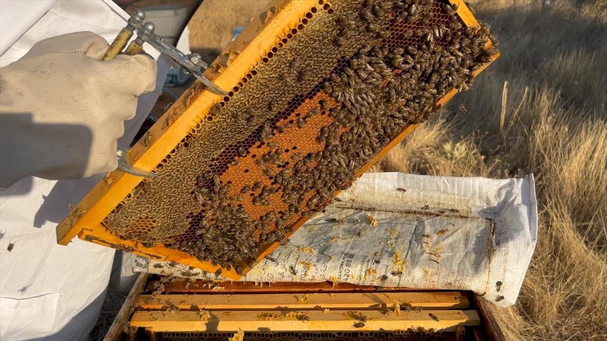 12 yıllık hobisi dünya pazarına açılıyor! Ödülleri peş peşe topladı 1