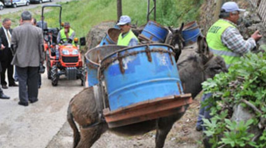 Çöpçü eşeklere emeklilik töreni