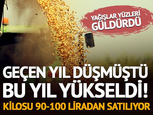 Ge&ccedil;en yıl d&uuml;şm&uuml;şt&uuml;, bu yıl y&uuml;kseldi! Kilosu 90-100 liradan satılıyor