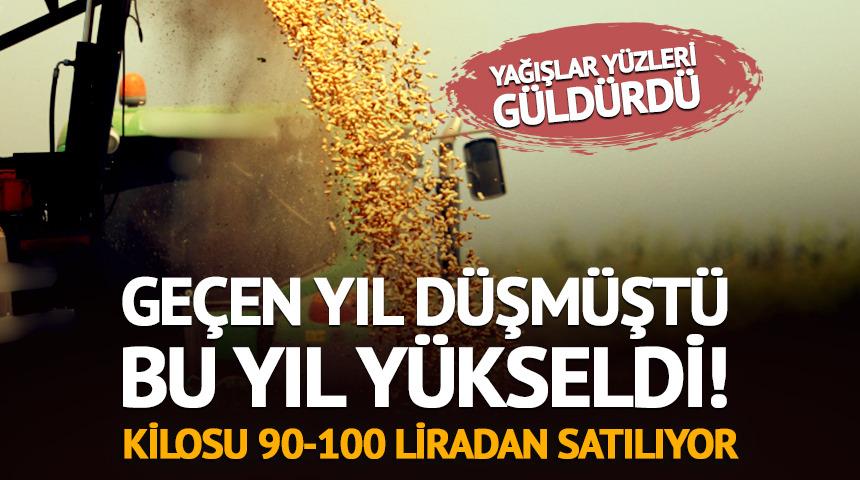 Ge&ccedil;en yıl d&uuml;şm&uuml;şt&uuml;, bu yıl y&uuml;kseldi! Kilosu 90-100 liradan satılıyor