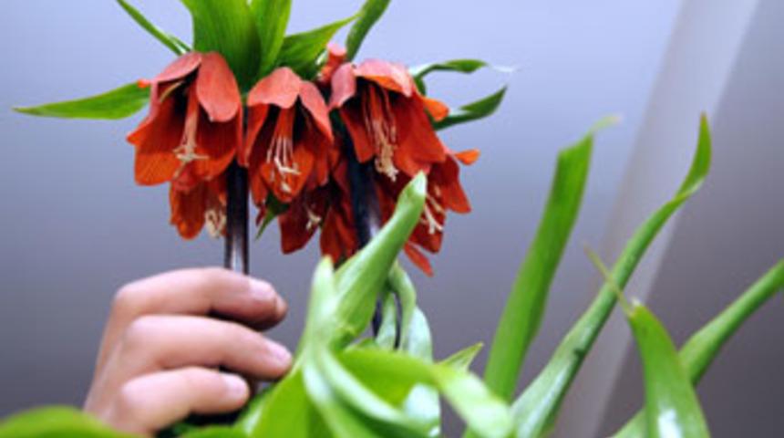 Bir köyün umudu oldu