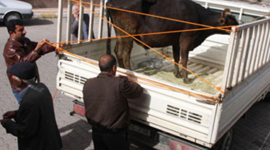 Batman'dan &ccedil;alındı, Ahlat'ta bulundu