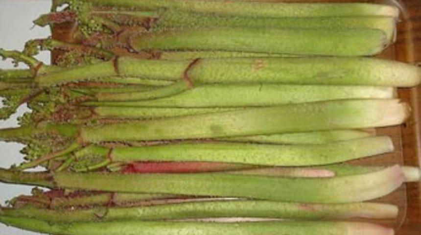 Siirt'in yayla muzu, ı&ccedil;kın tezgahta