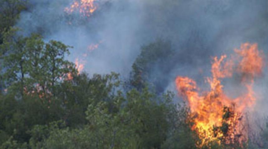 Orman yandı, 1,5 hektar k&uuml;l oldu