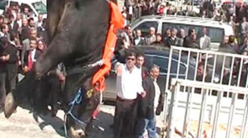 İnsanlık dışı g&ouml;r&uuml;nt&uuml;