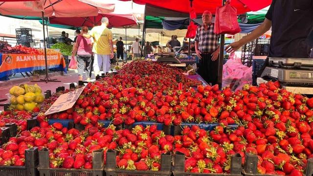 Alanya semt pazarında pazarcının terazisi güven verdi, fazlası çıktı eksiği çıkmadı 5