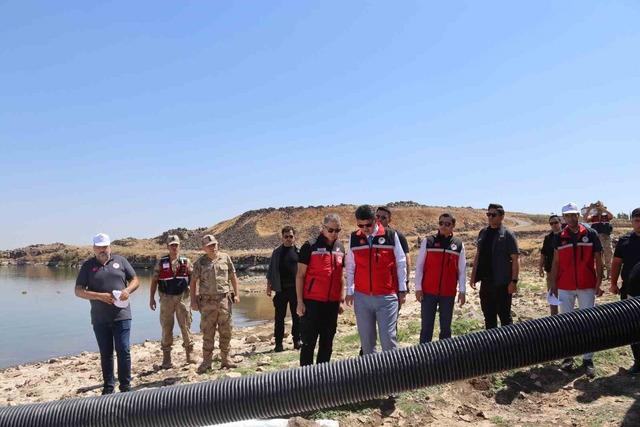 Kilis’teki göletlere 600 bin adet yavru balık bırakıldı 1