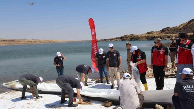Kilis’teki göletlere 600 bin adet yavru balık bırakıldı