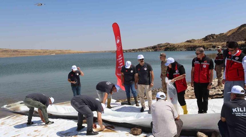 Kilis&rsquo;teki g&ouml;letlere 600 bin adet yavru balık bırakıldı