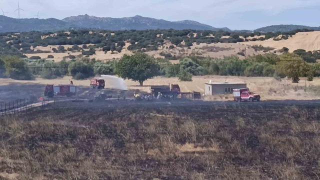 Başkan Yüksel yangını fark etti, itfaiyeyi sevk etti: Çiftlik alevlerden kurtarıldı 4