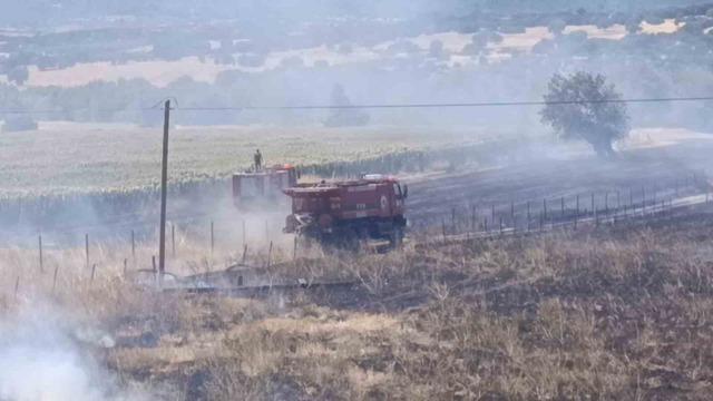 Başkan Yüksel yangını fark etti, itfaiyeyi sevk etti: Çiftlik alevlerden kurtarıldı 3