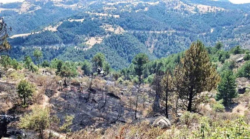 Emet&rsquo;te &ccedil;ıkan orman yangınında 2 hektar alan zarar g&ouml;rd&uuml;