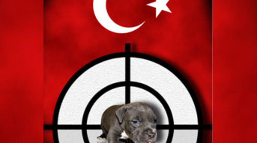 Bu fotoğraf, mahkemelik etti