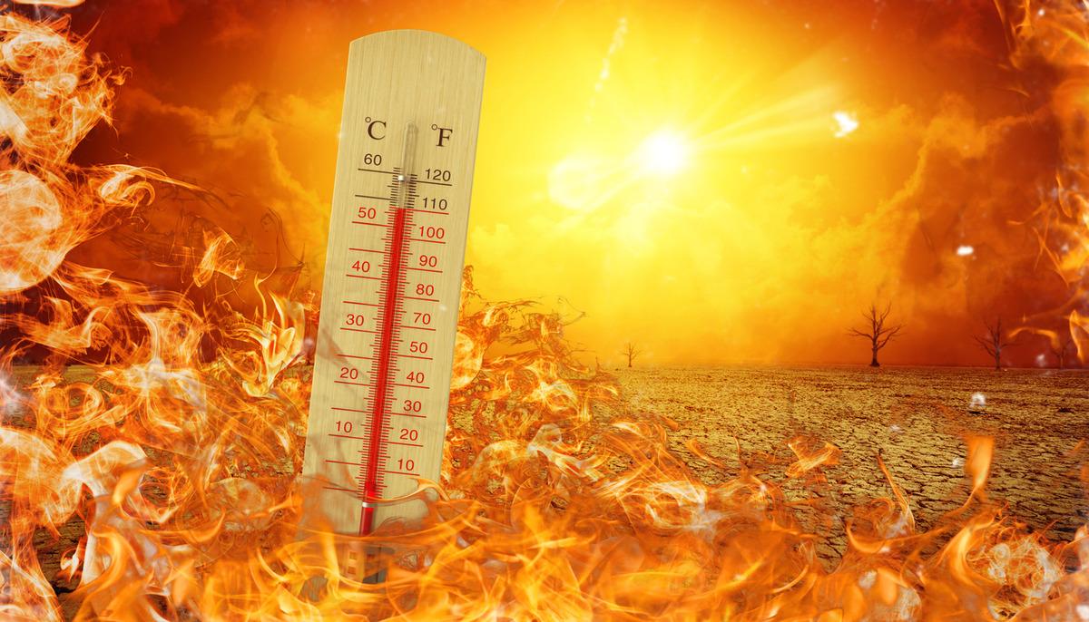 BM den El Niño uyarısı: Çok güçlü olacak, Şubat a kadar sürecek 1