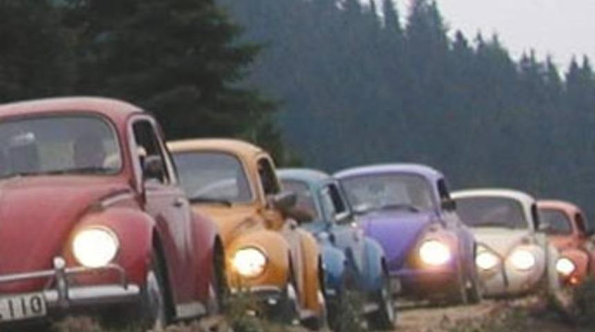 Vosvoslar yaylalarda buluşacak