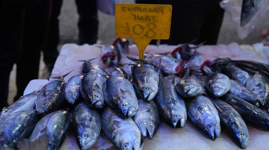 Karadeniz'de palamut patlaması: Tanesi 80 TL