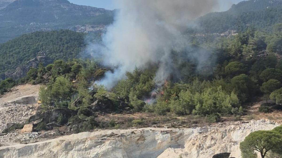 Milas’ta orman yangını - Güncel Haberler