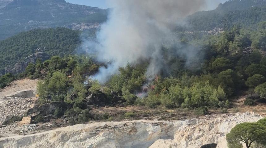 Milas&rsquo;ta orman yangını