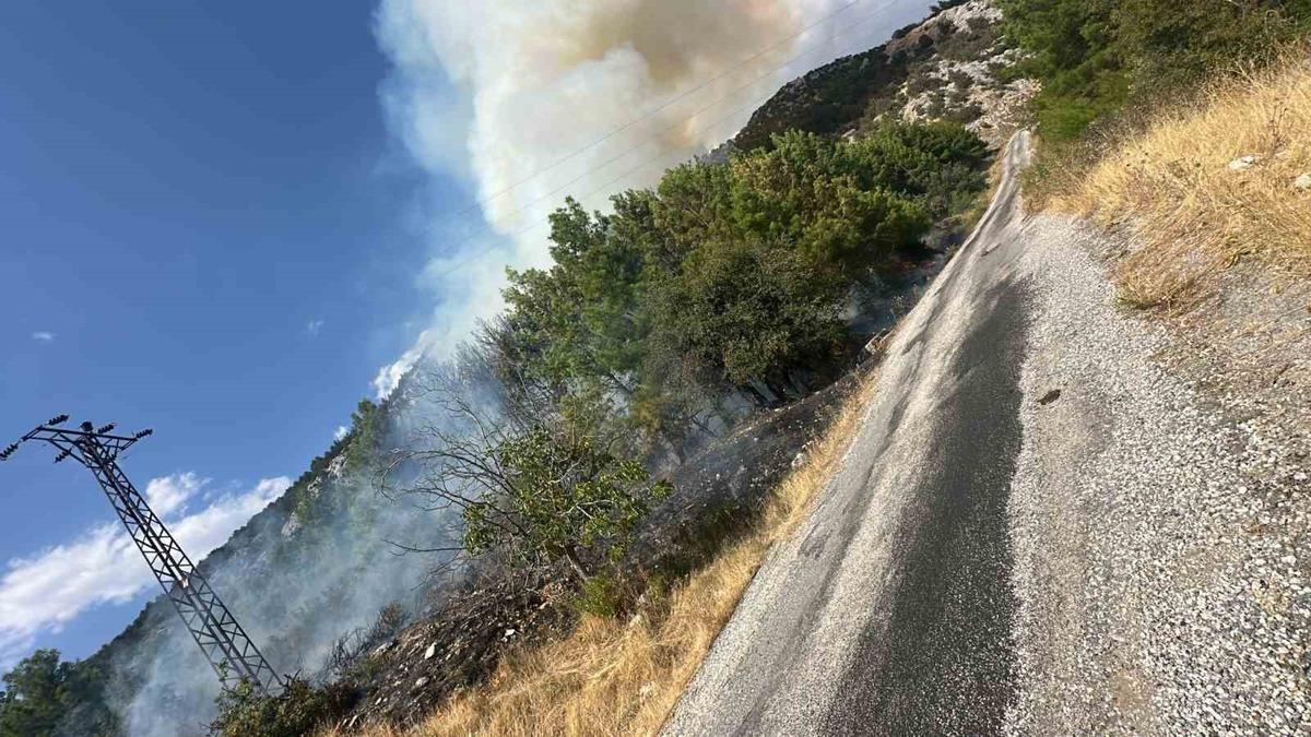 Antalya Akseki’de orman yangını - Güncel Haberler