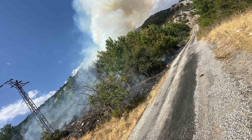 Antalya Akseki&rsquo;de orman yangını