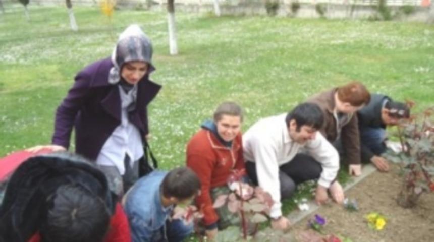 Zihinsel engellilere fidan eğitimi