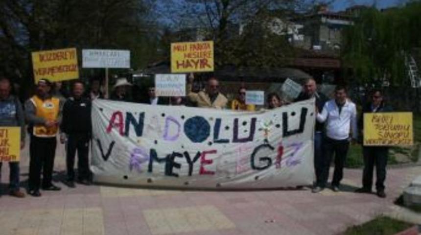 Ekolojik anayasa i&ccedil;in y&uuml;r&uuml;yorlar