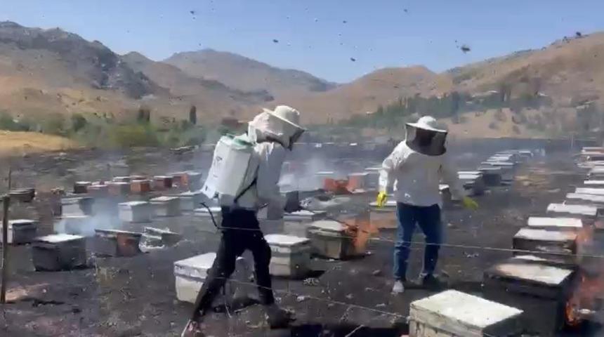 Adıyaman&rsquo;da otluk alan yangını 200 arı kovanını k&uuml;l etti