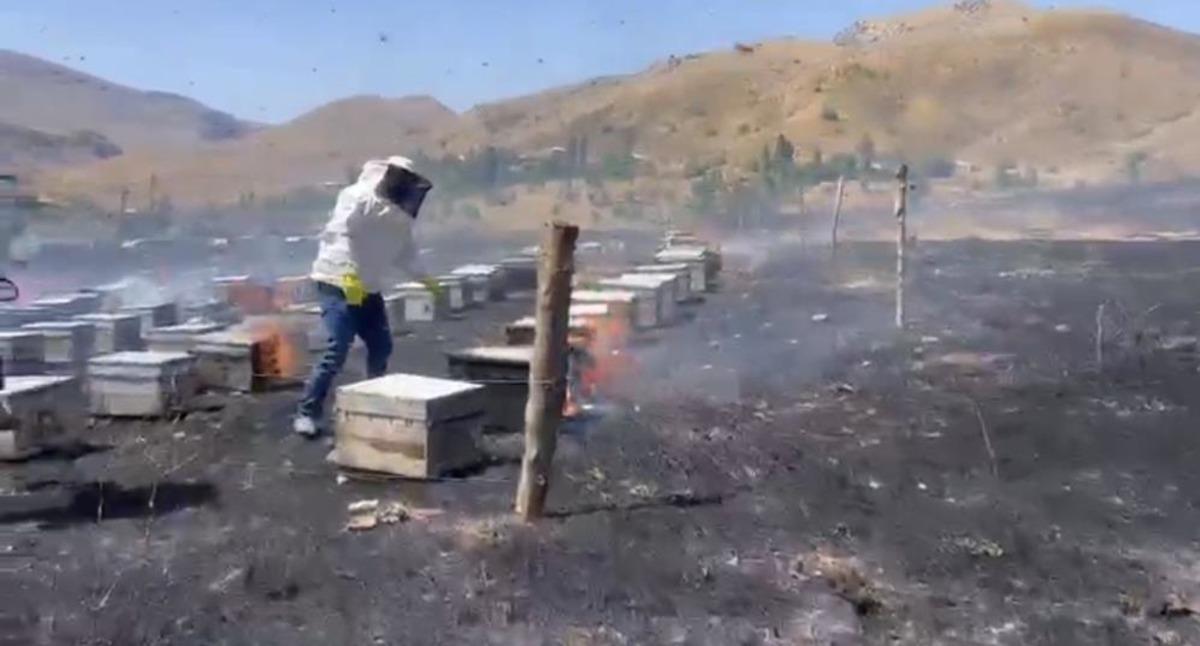 Adıyaman’da otluk alan yangını 200 arı kovanını kül etti 1