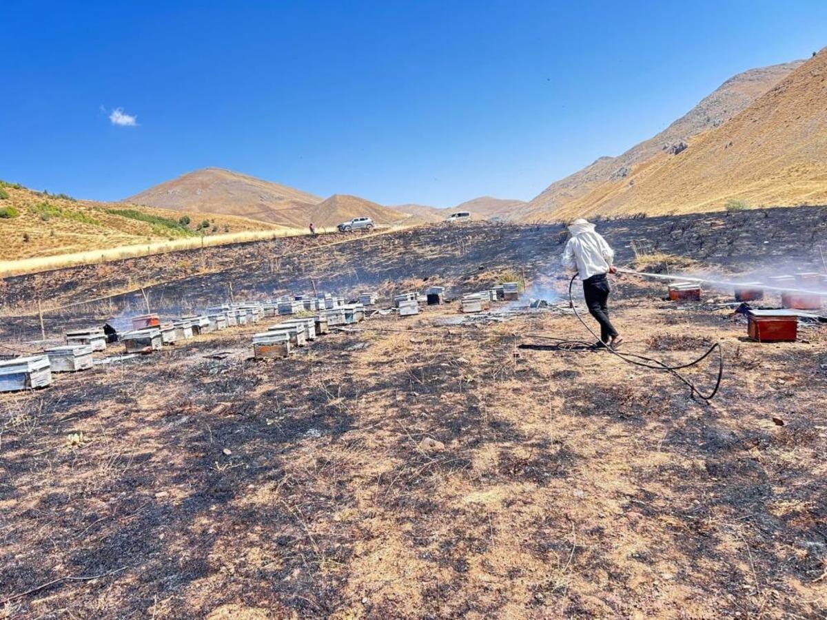 Adıyaman’da otluk alan yangını 200 arı kovanını kül etti 2