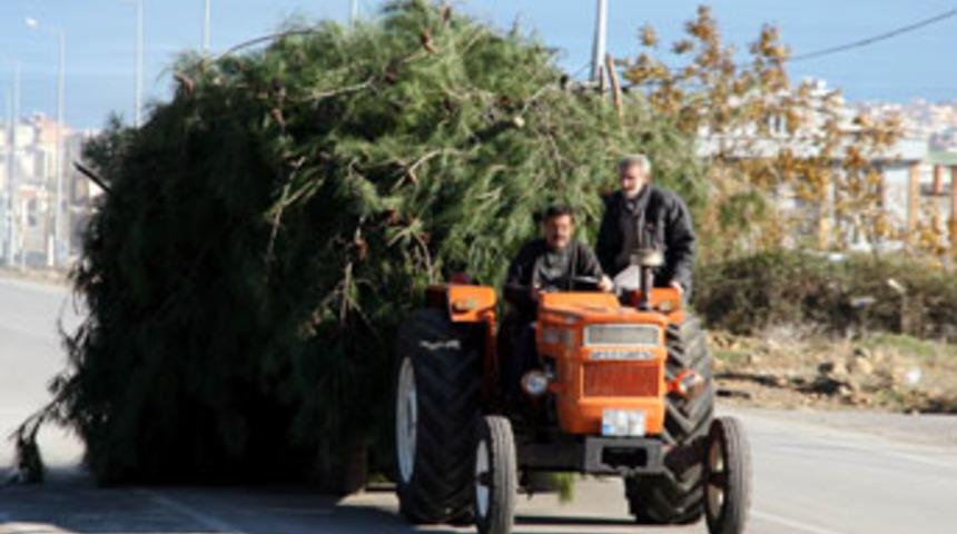 &Ccedil;amlarla yolu kapattı