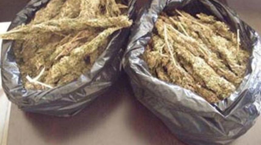 Erdemli'de uyuşturucu operasyonu