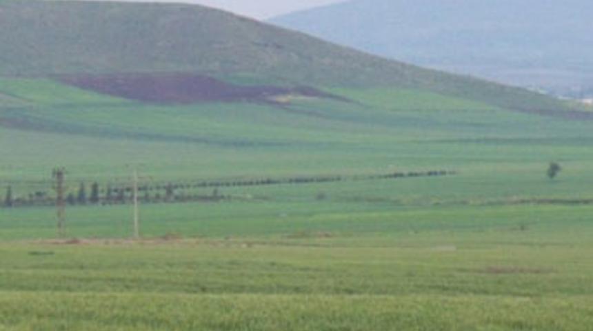 Tarla kavgasında kardeşini bı&ccedil;akladı