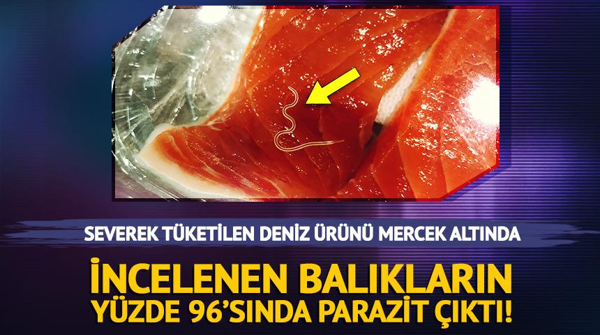 Şifa deposu diye yiyenlere k&ouml;t&uuml; haber! İncelenen balıkların y&uuml;zde 96'sında parazit &ccedil;ıktı