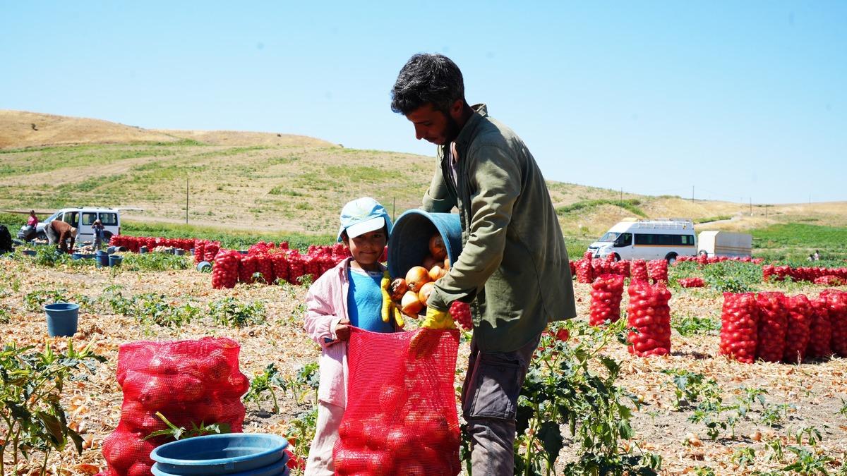300 kişilik mesai başladı:  5 kişilik ailenin g&uuml;nl&uuml;k geliri 10 bin TL  3