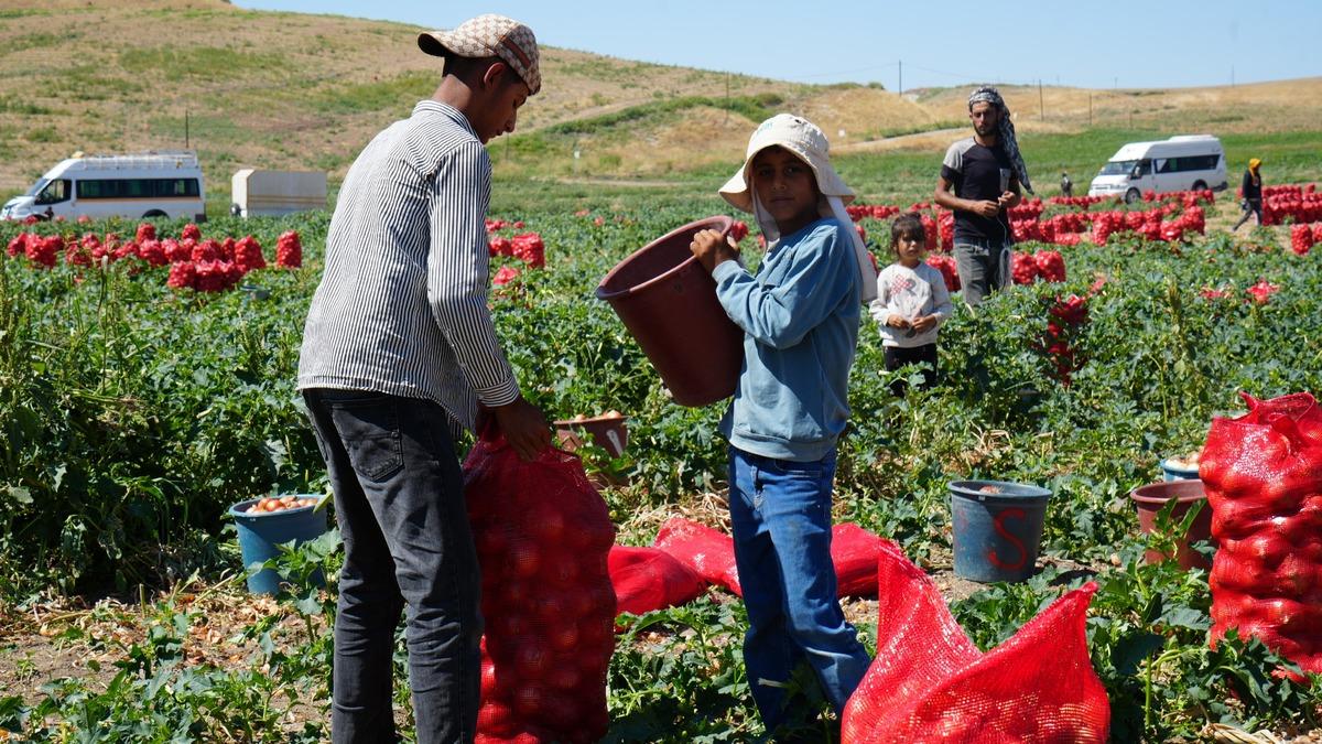 300 kişilik mesai başladı:  5 kişilik ailenin g&uuml;nl&uuml;k geliri 10 bin TL  7