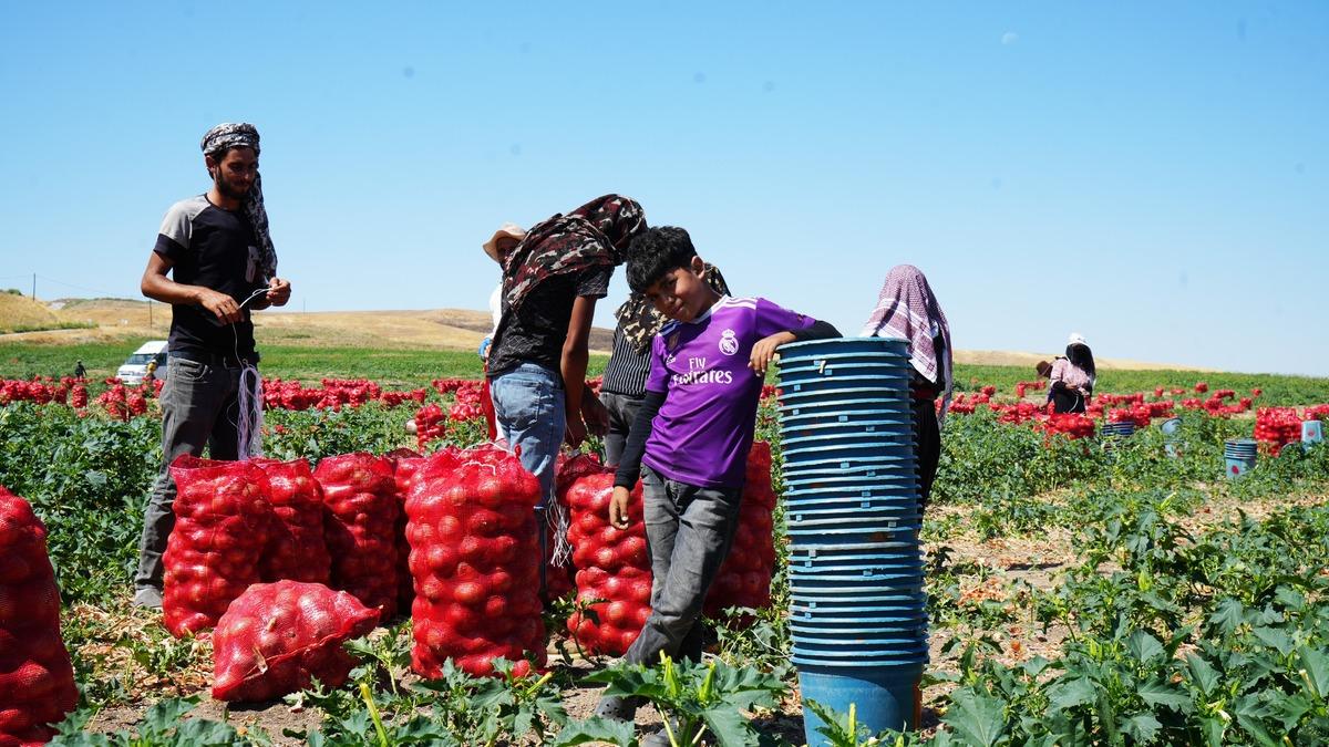 300 kişilik mesai başladı:  5 kişilik ailenin g&uuml;nl&uuml;k geliri 10 bin TL  8