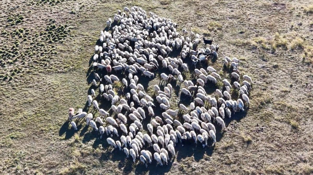 150 bin TL maaş verip çalışan bulamıyorlar Beğenmiyorlar 2