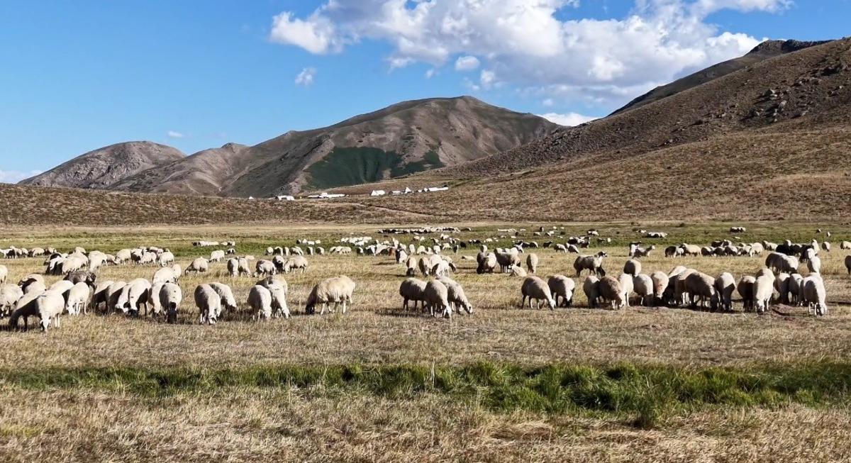 150 bin TL maaş verip çalışan bulamıyorlar Beğenmiyorlar 4