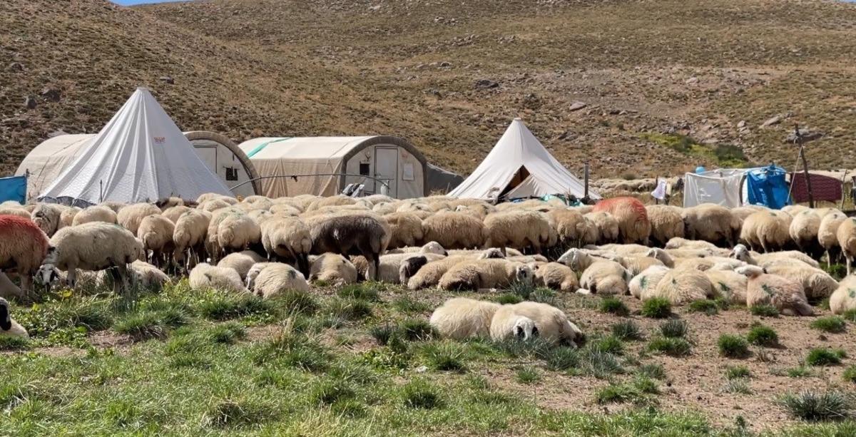 150 bin TL maaş verip çalışan bulamıyorlar Beğenmiyorlar 3