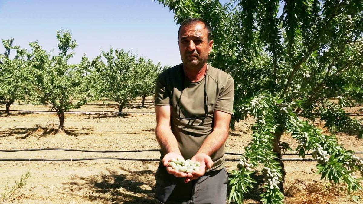 Araştırırken badem a&ccedil;ığını fark edip işe girişti: 10 ton bekliyor 2