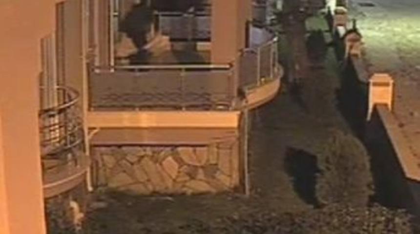 Yazlık hırsızları g&uuml;venlik kameralarında