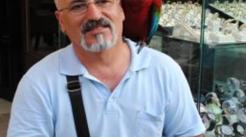 Ressam Hüseyin Söylmez, papağanı Çillo'yu yanında gezdiriyor