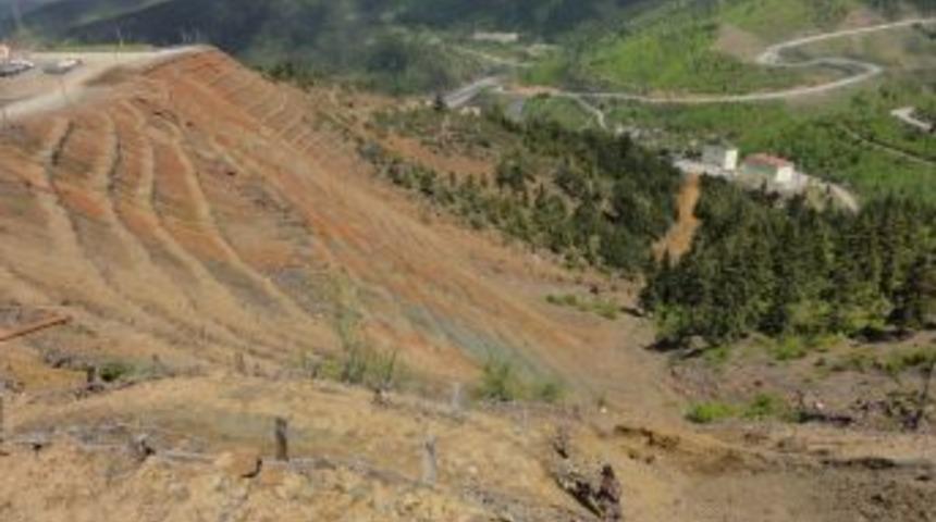 Kastamonu'da maden sahaları yeşillendiriliyor
